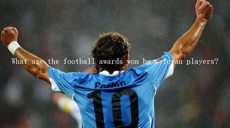 What are the football awards won by veteran players?